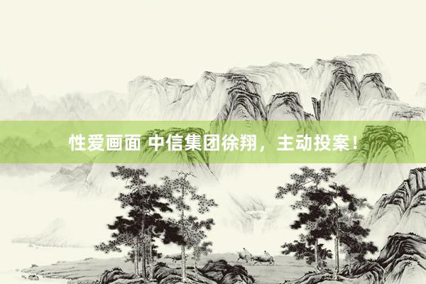 性爱画面 中信集团徐翔，主动投案！