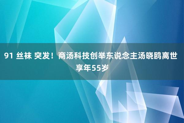 91 丝袜 突发！商汤科技创举东说念主汤晓鸥离世 享年55岁