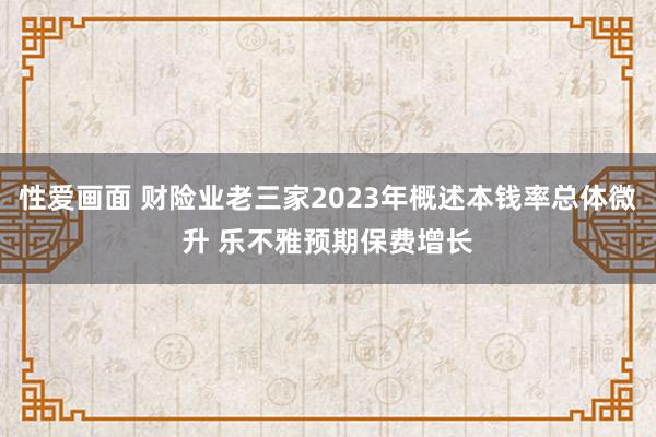 性爱画面 财险业老三家2023年概述本钱率总体微升 乐不雅预期保费增长