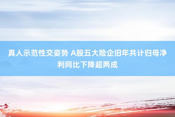 真人示范性交姿势 A股五大险企旧年共计归母净利同比下降超两成
