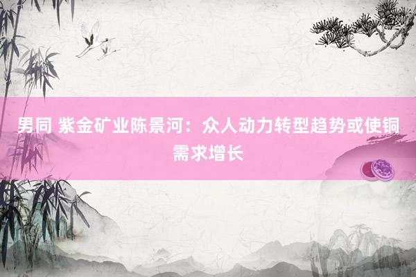 男同 紫金矿业陈景河：众人动力转型趋势或使铜需求增长