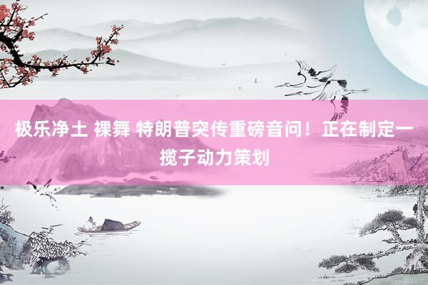 极乐净土 裸舞 特朗普突传重磅音问！正在制定一揽子动力策划