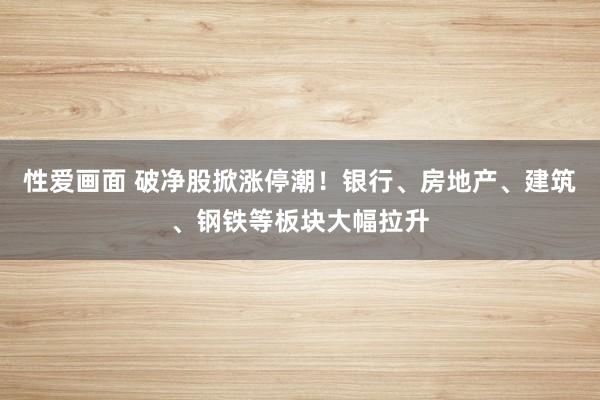 性爱画面 破净股掀涨停潮！银行、房地产、建筑、钢铁等板块大幅拉升