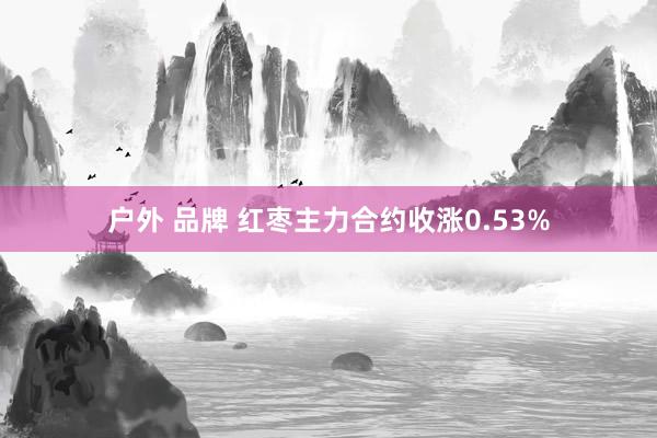 户外 品牌 红枣主力合约收涨0.53%