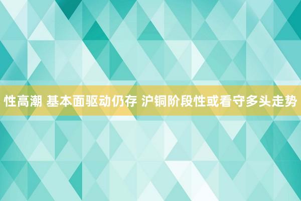 性高潮 基本面驱动仍存 沪铜阶段性或看守多头走势