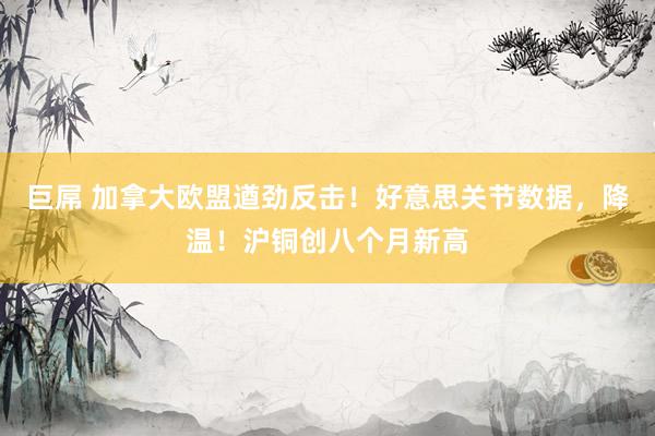 巨屌 加拿大欧盟遒劲反击！好意思关节数据，降温！沪铜创八个月新高