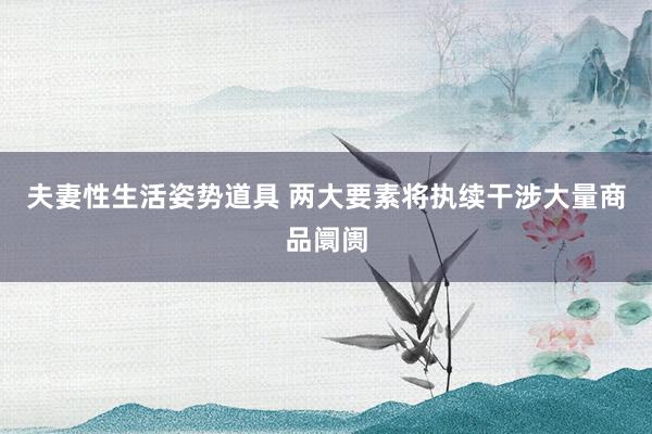 夫妻性生活姿势道具 两大要素将执续干涉大量商品阛阓
