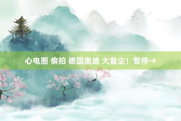 心电图 偷拍 德国奥迪 大音尘！暂停→
