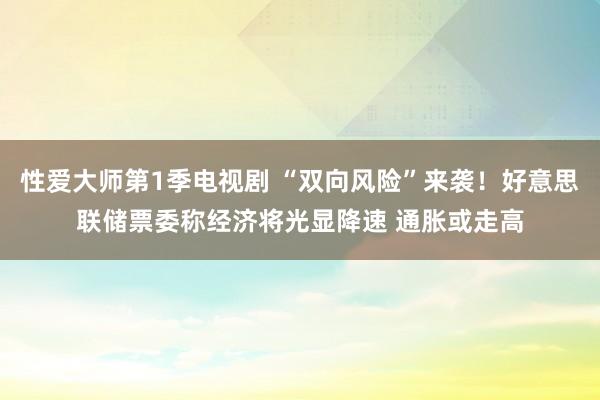 性爱大师第1季电视剧 “双向风险”来袭！好意思联储票委称经济将光显降速 通胀或走高